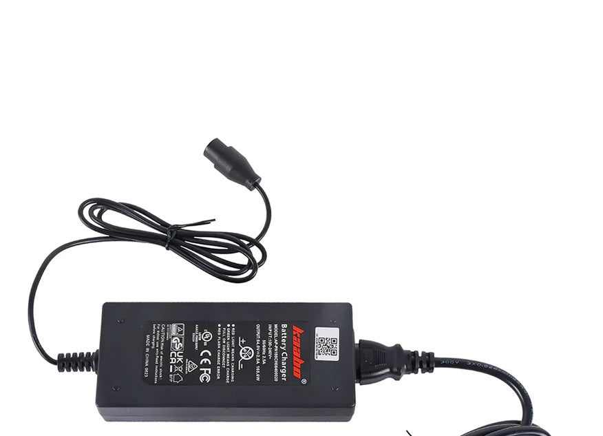 72V 2A Charger for Wolf King GTR