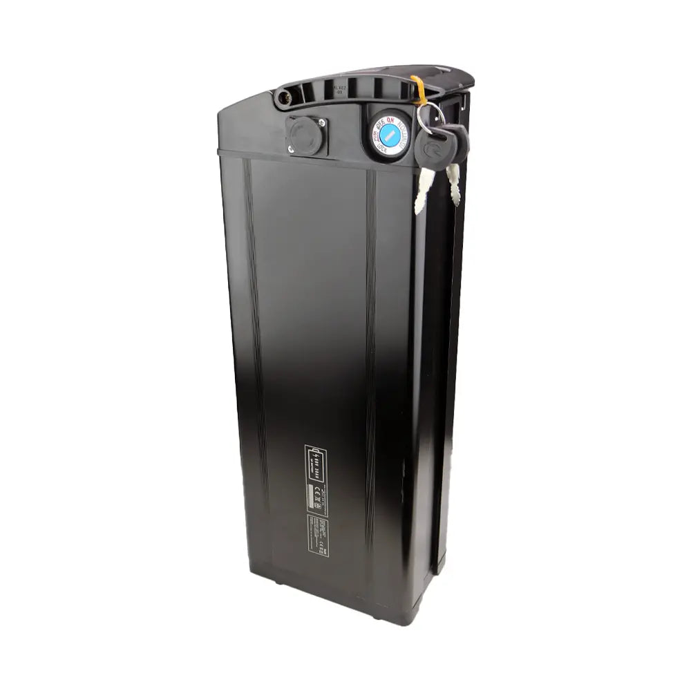 60V 30Ah Battery for EMOVE Roadrunner Pro