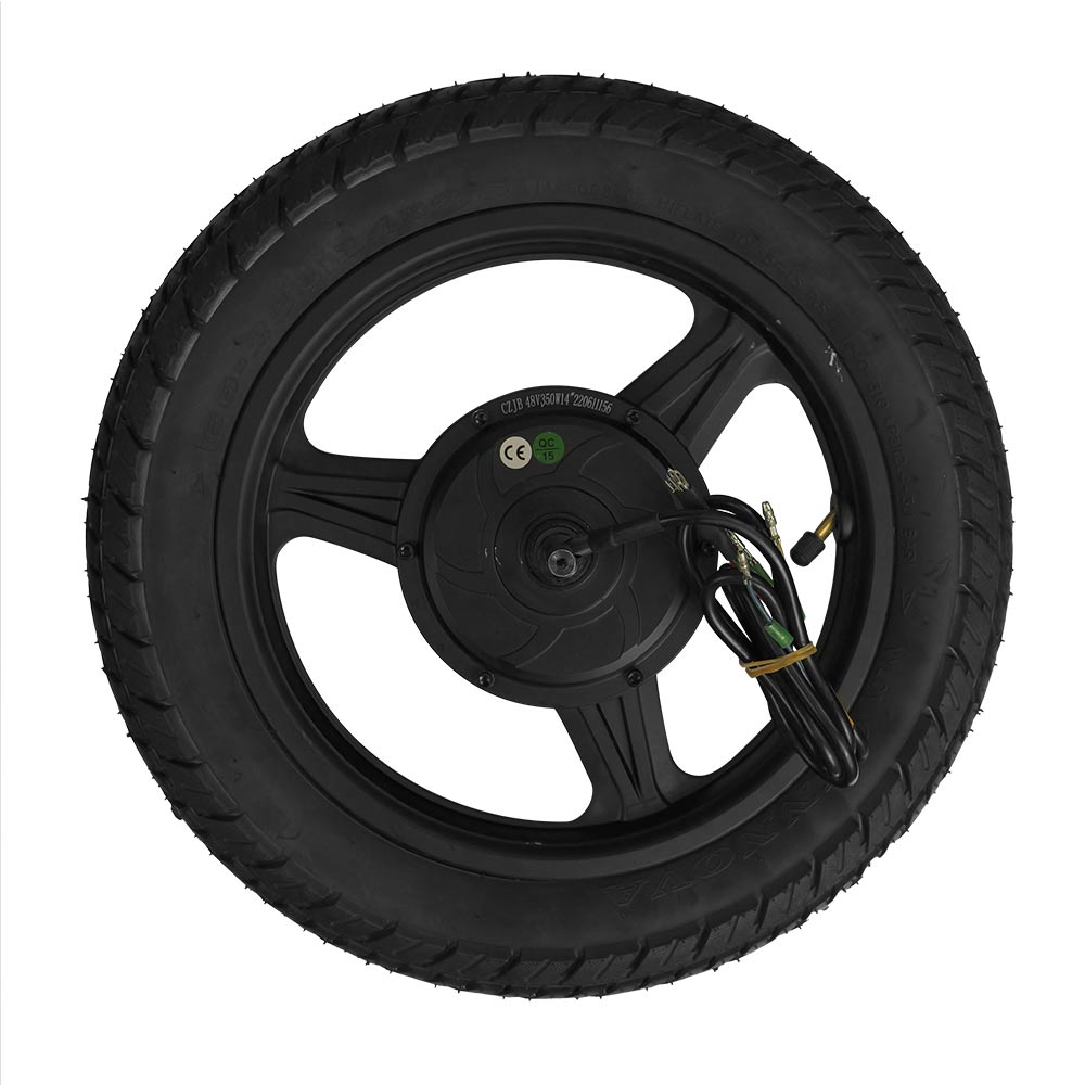 500W/350W Motor for Roadrunner