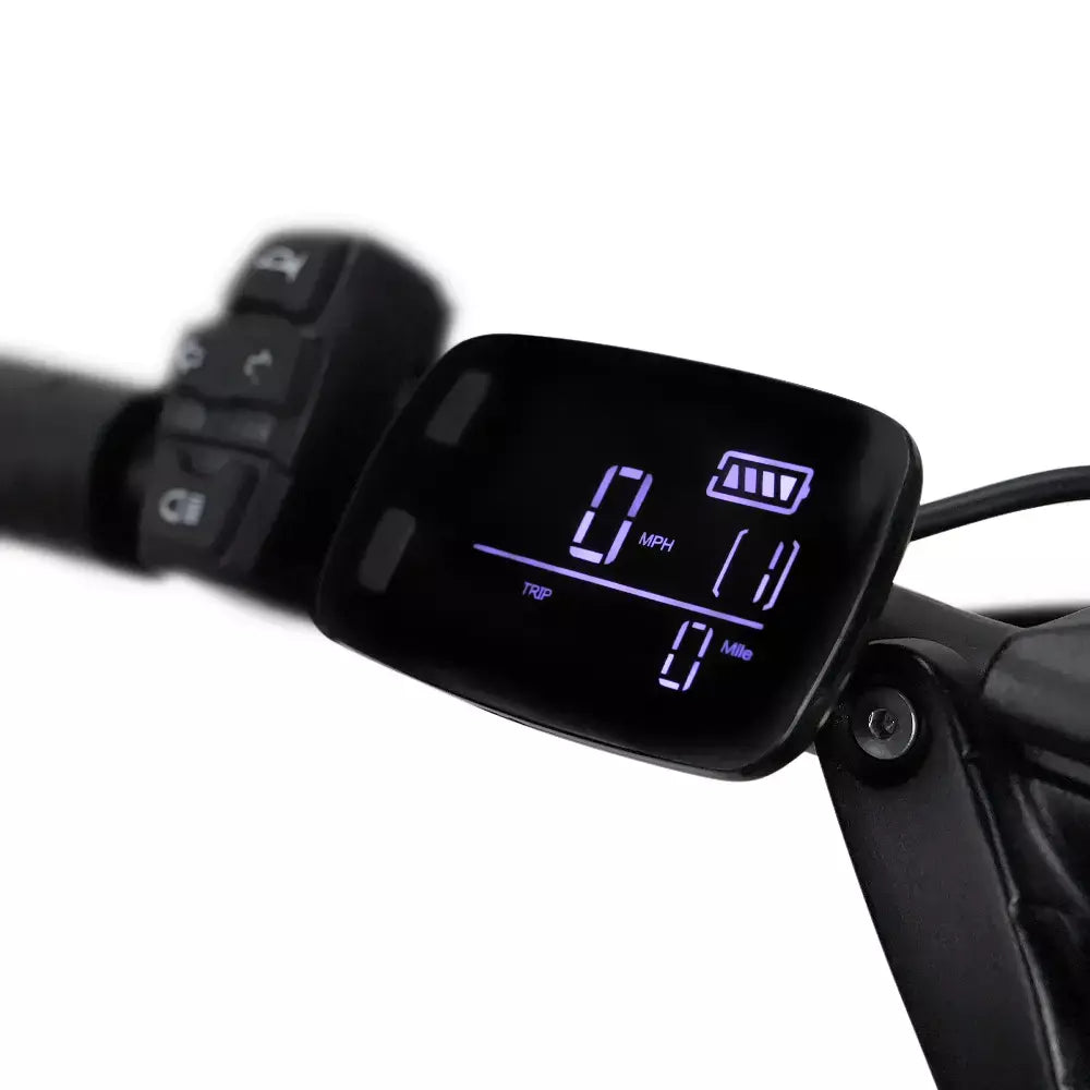 LCD Display for Emove Roadrunner On Scooter