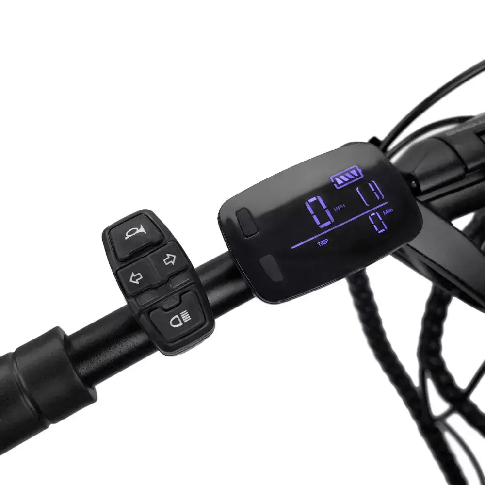 LCD Display for Emove Roadrunner On Scooter